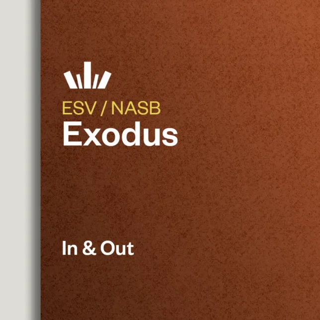 Exodus In and Out Bible study