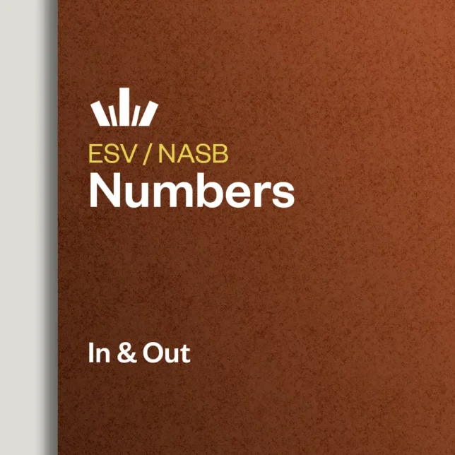 Numbers In & Out Bible Study