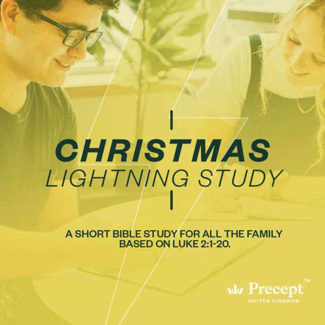 Christmas Lightning Study