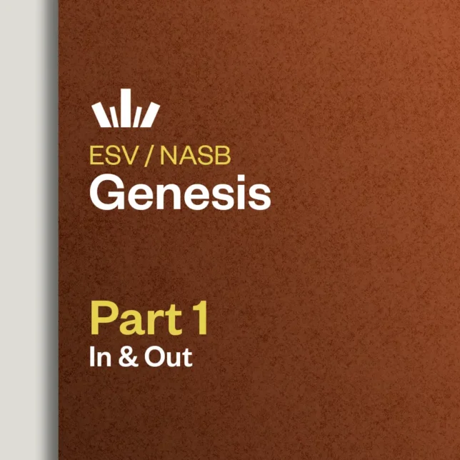 Genesis Part 1 In & Out Bible Study