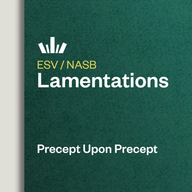 Lamentations Precept Upon Precept