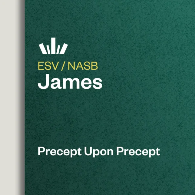 James Precept Upon Precept