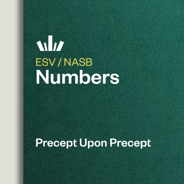 Numbers Precept Upon Precept
