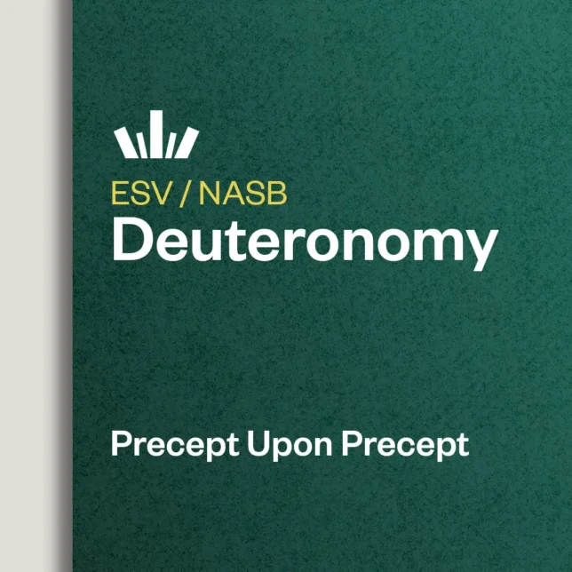 Deuteronomy Precept Upon Precept