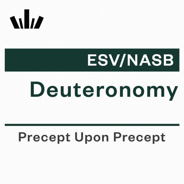 Deuteronomy Precept Upon Precept