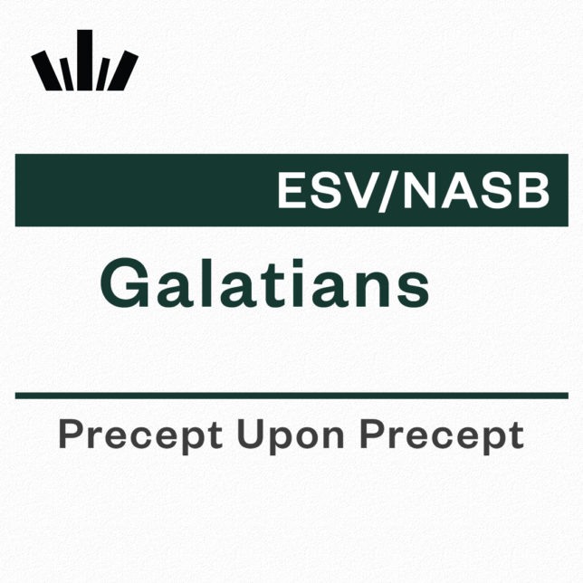 Galatians Precept Upon Precept