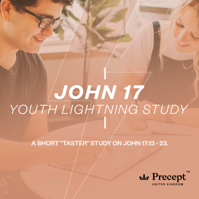 John 17 Youth Lightning Study