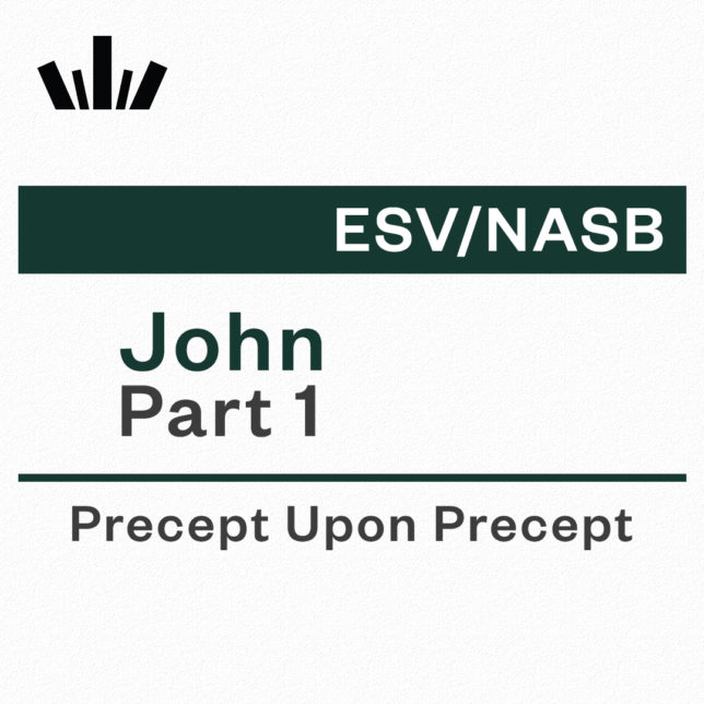 John Part 1 Precept Upon Precept