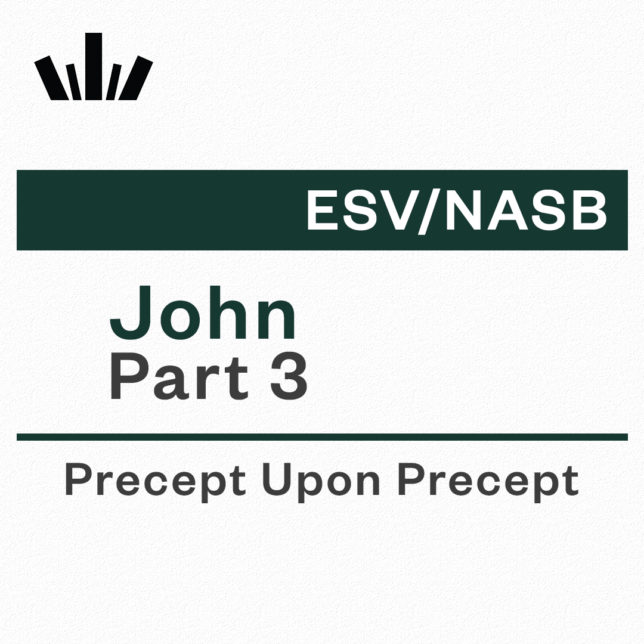 John part 3 Precept Upon Precept