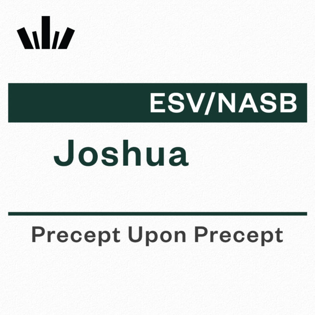 Joshua Precept Upon Precept