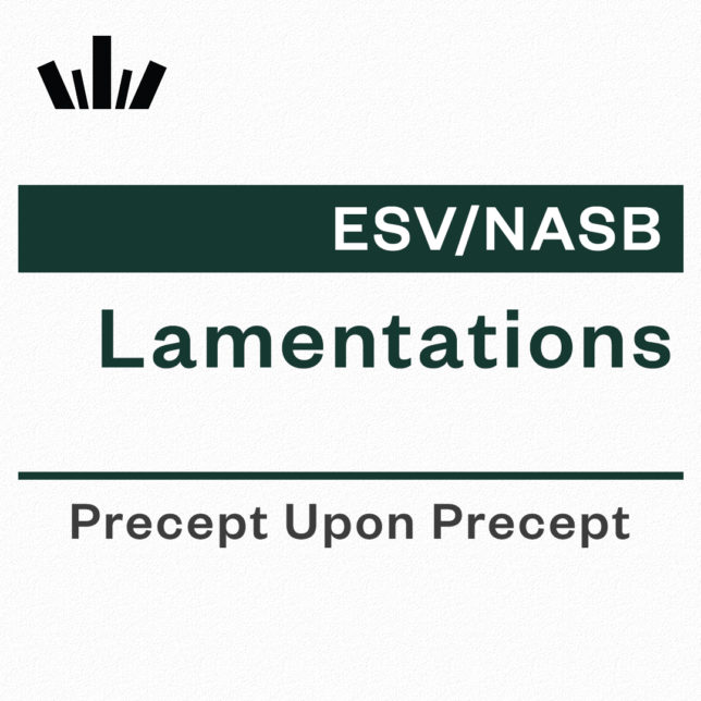 Lamentations Precept Upon Precept