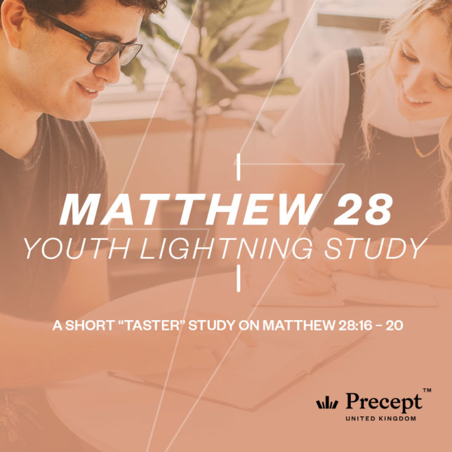 Matthew 28 Youth Lightning Study