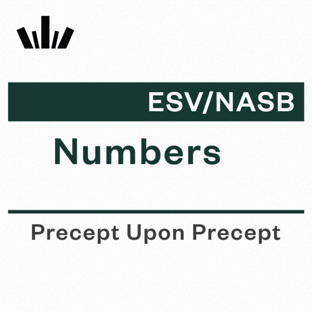 Numbers Precept Upon Precept