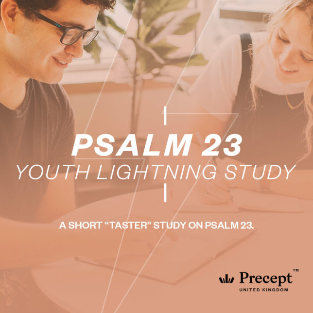 Psalm 23 Youth Lightning Study