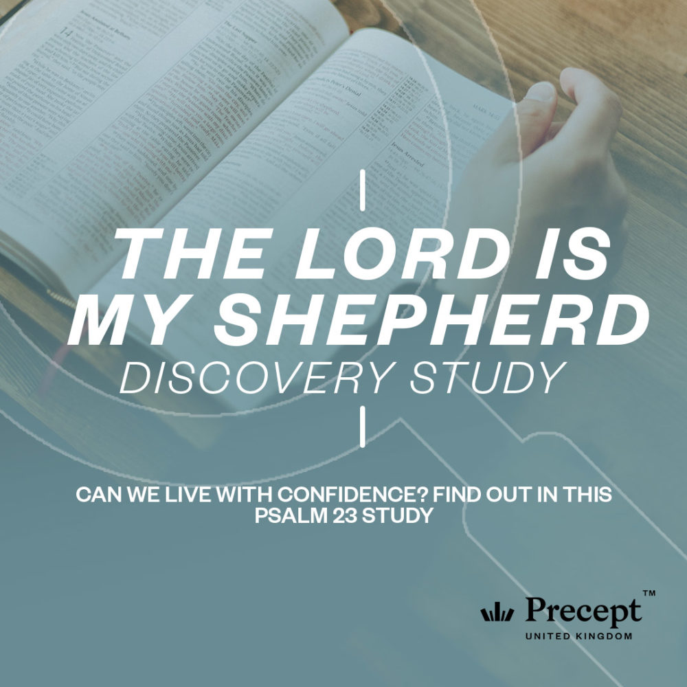 The lord is my shepherd Discovery Study