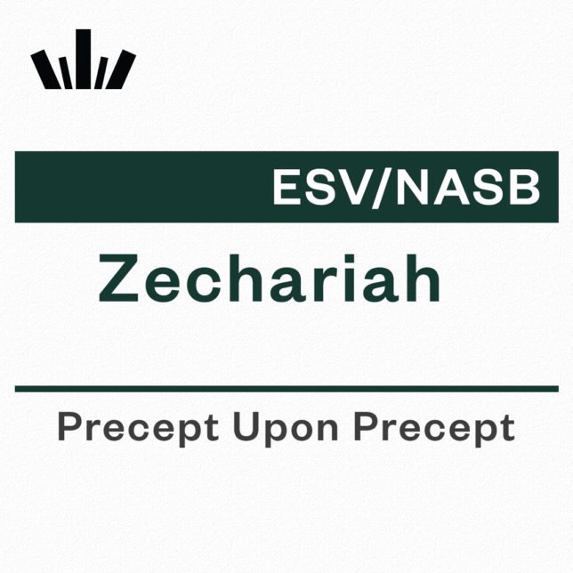 Zechariah Precept Upon Precept