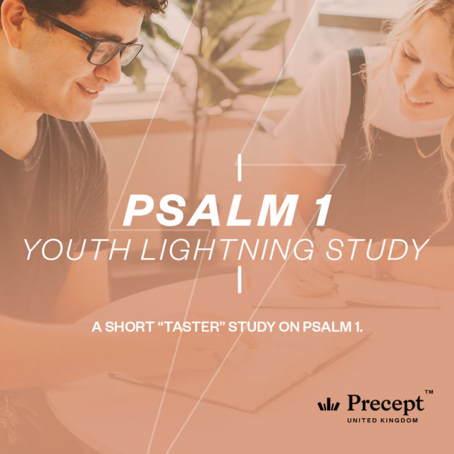Psalm 1 Youth Lightning Study