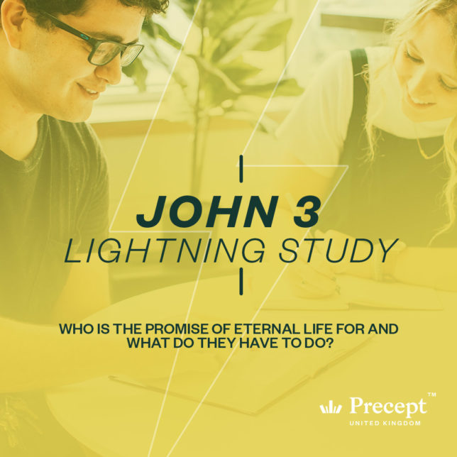 John 3 Lightning Study