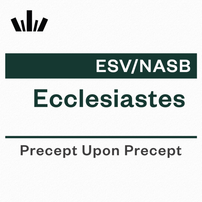 Ecclesiastes Precept Upon Precept