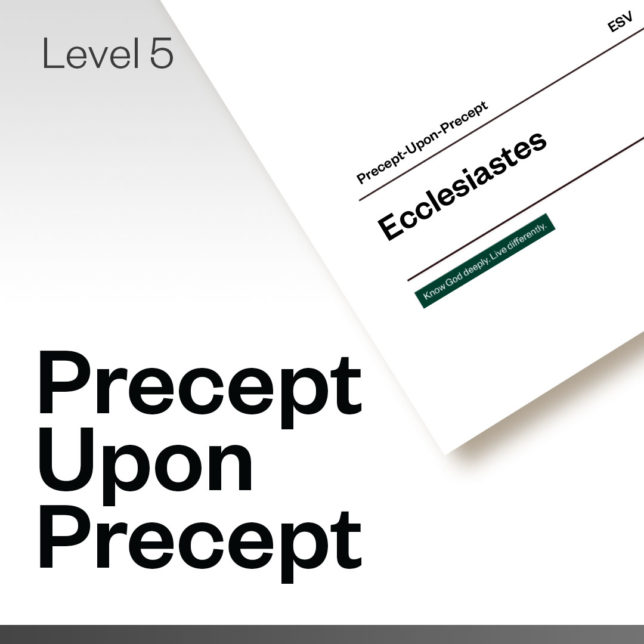 PRECEPT-UPON-PRECEPT (PUP)