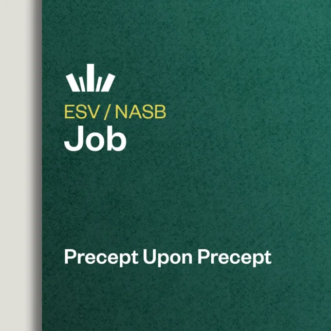 Job Precept Upon Precept