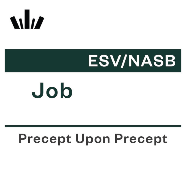 Job Precept Upon Precept