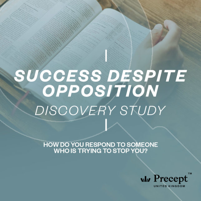 Success despite opposition Word Discovery Study