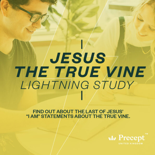 True Vine Lightning Study