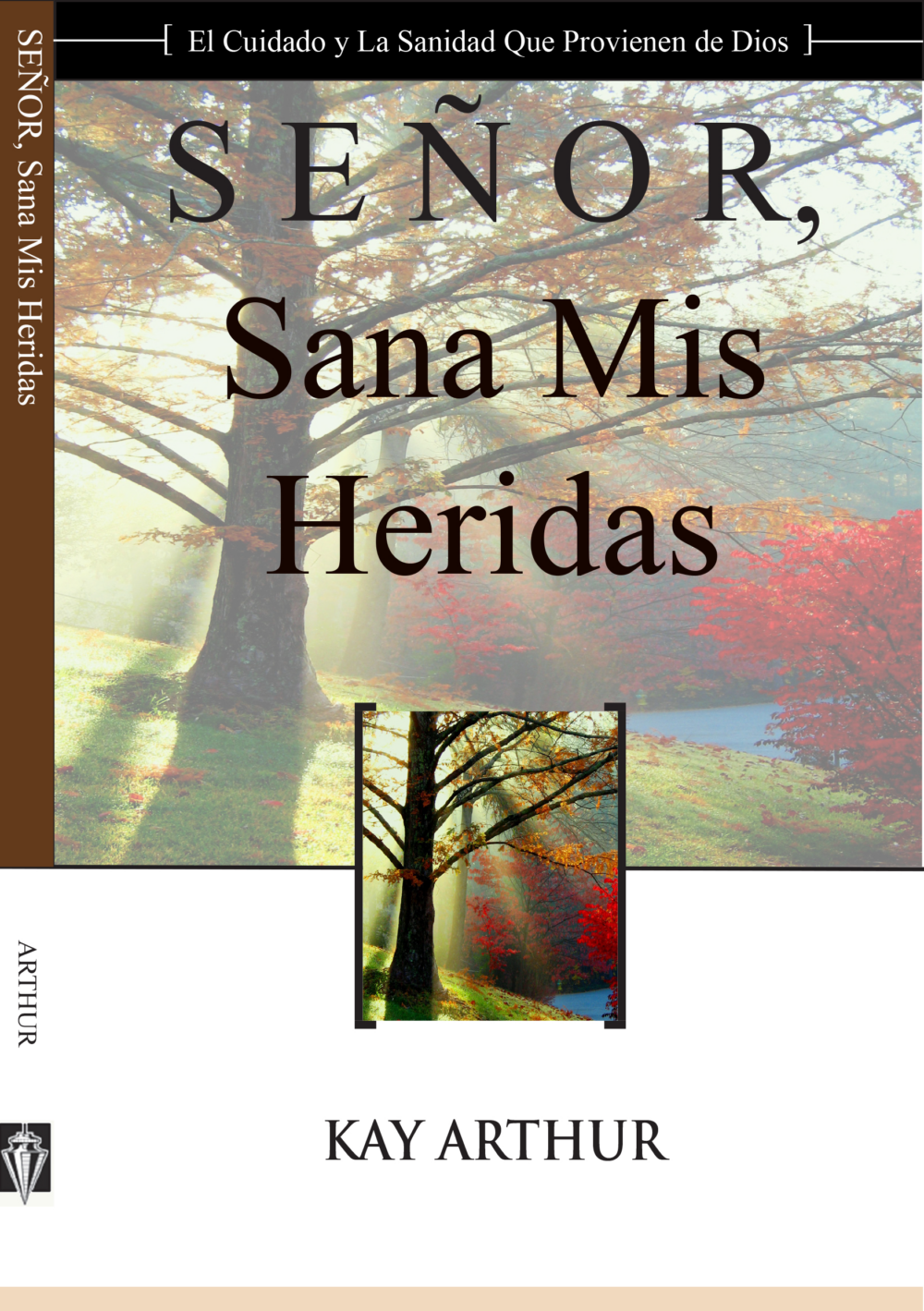 (LORD-10) Señor, Sana Mis Heridas (Lord Heal My Hurts - Book - in Spanish)