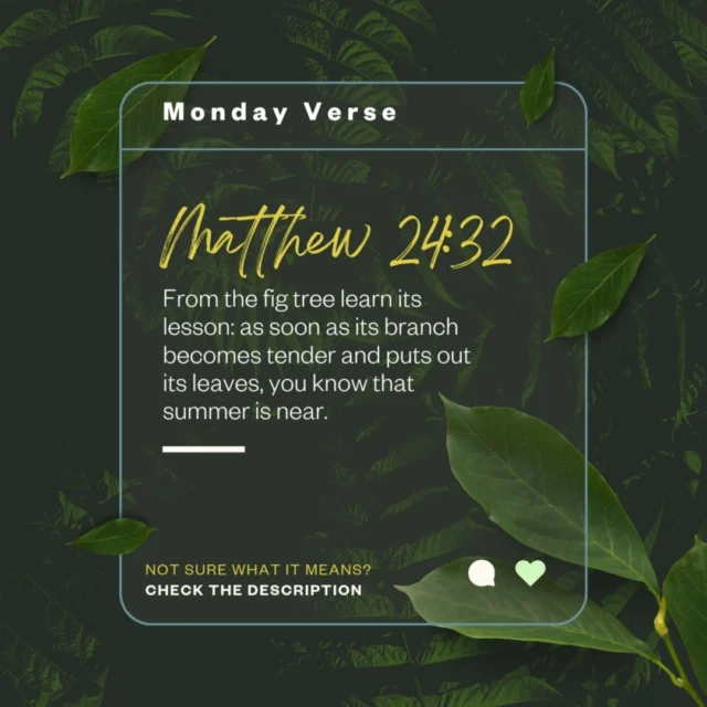 🌿 “Learn this lesson from the fig tree…” (Matt. 24:32)
A strange little verse—until you realise it’s a call to spiritual awareness.

Like Esther, we’re each placed in a time and position that matters. God calls us to live alert, faithful, and ready—for such a time as this.

💬 Join us for Precept Bible School ONLINE this May as we dive into the book of Esther.
🗓️ 16–18 May | 💻 Zoom | £50
📖 Deep Bible study | 🤝 Fellowship | 🎯 Purpose

📬 More info at precept.org.uk/pbs or email: admin@precept.org.uk

#ForSuchATimeAsThis #EstherStudy #PreceptBibleSchool #Faithful #BibleStudy #Matthew2432 #KnowGodLiveDifferently